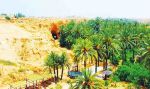إستعدادات مكثفة لموسم السياحة الصحراوية بتوزر