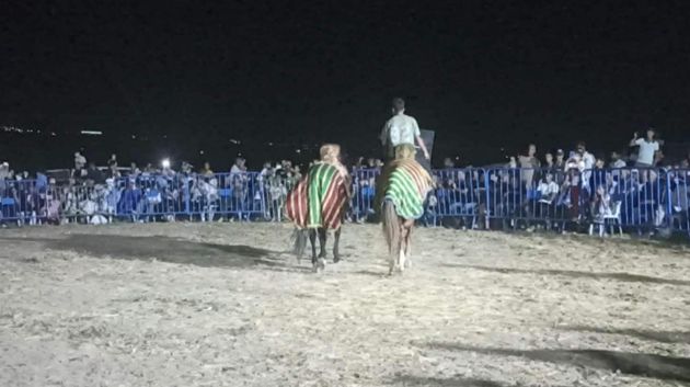 جندوبة :مهرجان شارن للتراث والفروسية