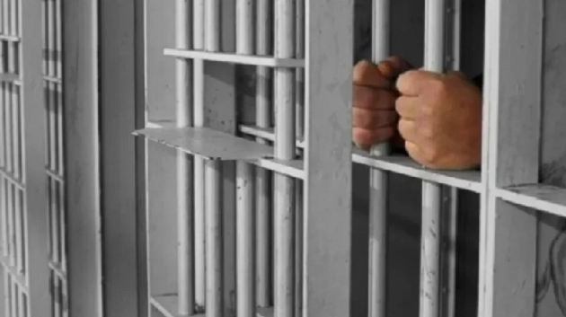 سليانة : بطاقتا إيداع بالسجن في حق شخصين على خلفية حريق جبل برقو
