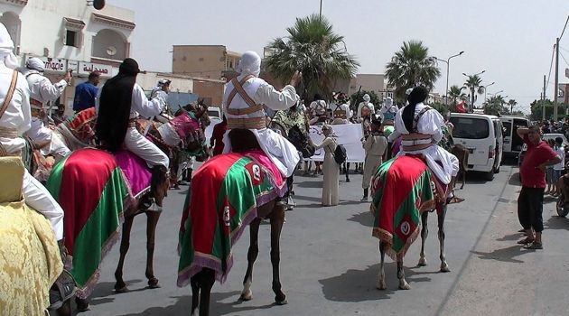 المطالبة بإنقاذ المهرجان الدولي للجواد العربي الأصيل بالمكناسي من الاندثار