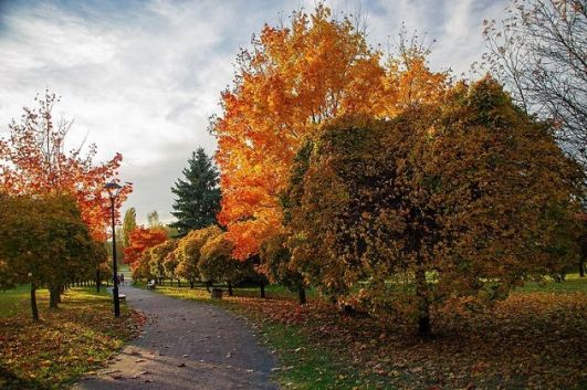 موعد الاعتدال الخريفي لسنة 2026