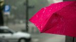 طقس اليوم: أمطار رعديّة ومحليّاً غزيرة بهذه الجهات