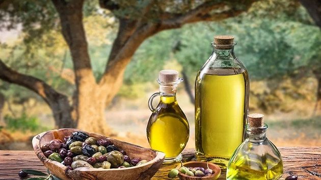 وضع رؤية متكاملة لتطوير منظومة زيت الزيتون في تونس في أفق سنة 2050