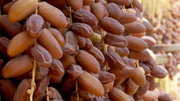 لأوّل مرّة.. قيمة صادرات التّمور التّونسية تتجاوز المليار دينار