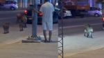 رئيس المجلس المحلّي بحمّام الأنف يكشف أسباب انتشار الخنازير بالجهة (فيديو)