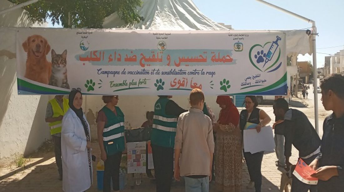 صورة الخبر