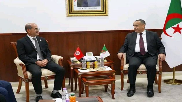 الجزائر و تونس: نحو إنجاز محطة كهرباء بقدرة 1400 ميغاواط
