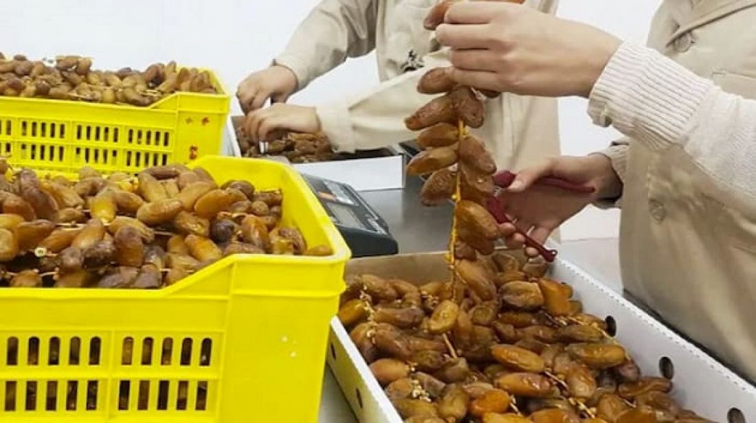 صورة الخبر