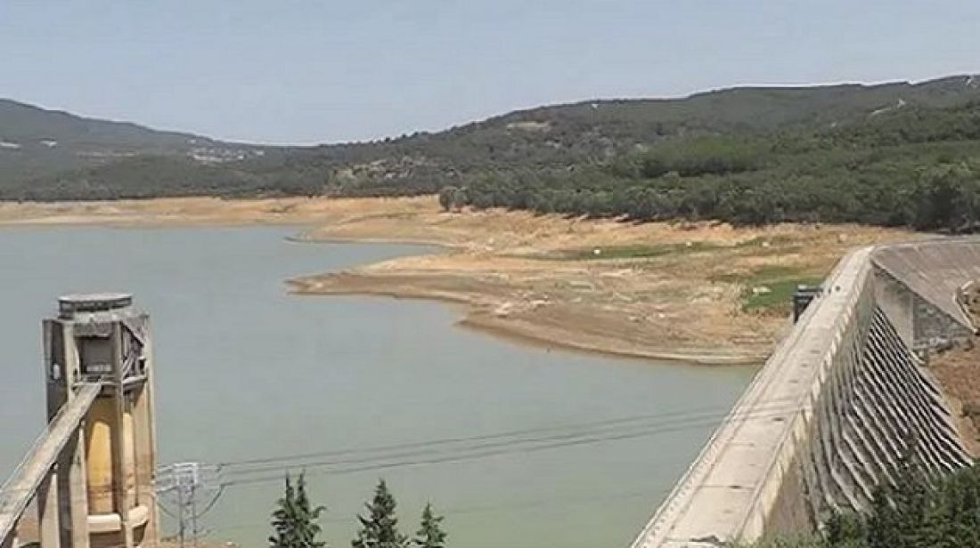 صورة الخبر