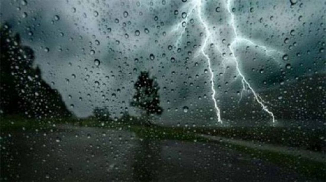 صورة الخبر