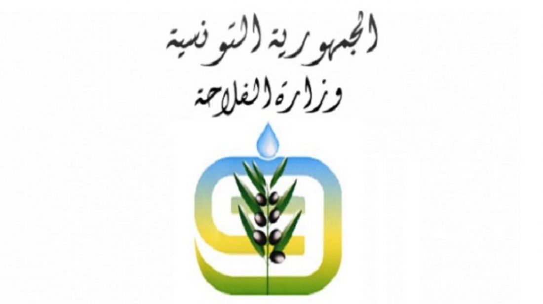 صورة الخبر