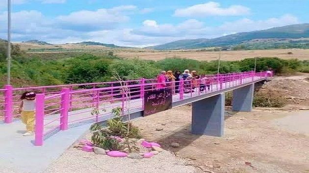 كريم عرفة يفك عزلة بني مطير بجسر جديد (فيديو)