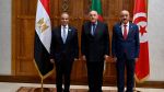 وزير الخارجية يؤكد على أهمية آلية التشاور الثلاثي