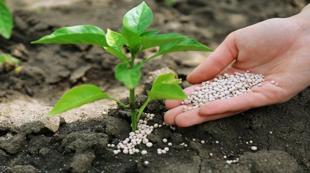 بني خلاد : نقص مستلزمات الإنتاج يؤرّق الفلاحين ​ 