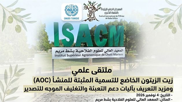 جمعية المهرجان الدولي للزيتونة: تنظيم الملتقى العلمي يوم 4 نوفمبر القادم 