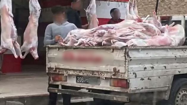 المكنين: نقل ذبائح على متن شاحنة بطريقة مكشوفة (فيديو)