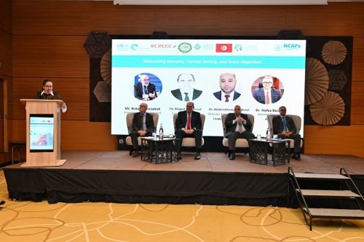 تونس تؤكد ريادتها الإقليمية في مجالات النجاعة الطاقية والتبريد المستدام