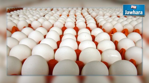 مدنين : إحباط عملية تهريب 180 ألف بيضة نحو ليبيا