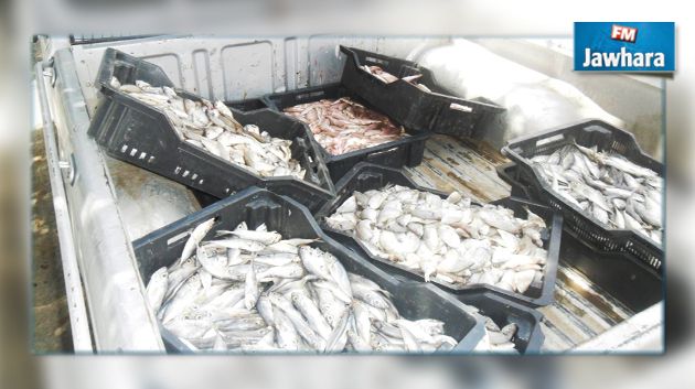 المهدية : حجز 250 كغ من السمك