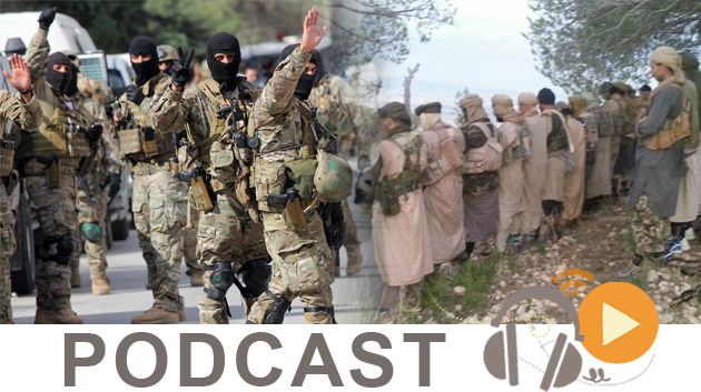 نشرة أخبار منتصف الليل ليوم الاثنين 13 جويلية 2015
