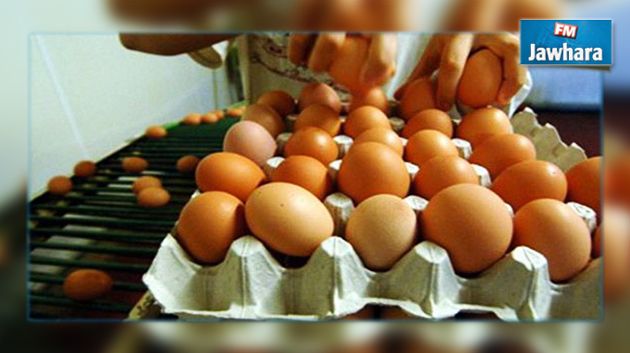 مربو الدواجن في تونس مهدّدون بالإفلاس