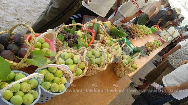 مهرجان الكرموس بالبقالطة في دورته الثانية‎