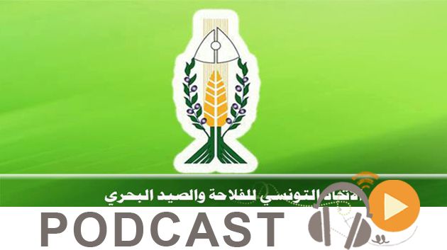 نشرة أخبار السابعة صباحا ليوم الجمعة 21 أوت 2015