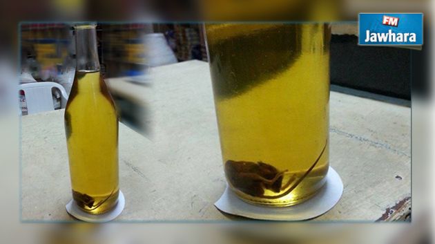 العثور على فأر داخل قارورة زيت مدعّم : وزارة التجارة تتدخّل