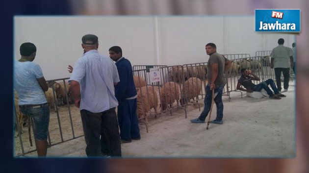 افتتاح أول نقطة بيع للأضاحي في القيروان