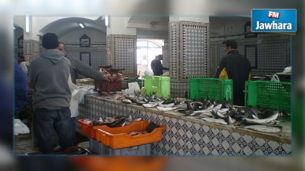 المهدية : حجز 750 كغ من سمك القراض ممنوع صيده
