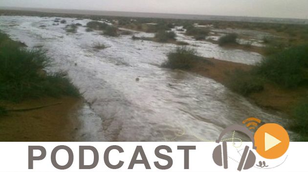نشرة أخبار السابعة صباحا ليوم الإربعاء 9 سبتمبر 2015