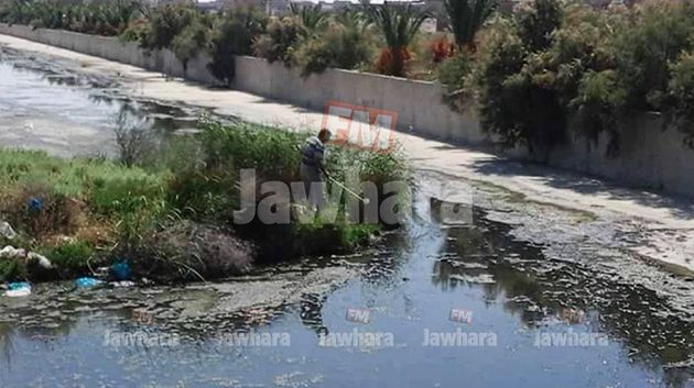 كارثة بيئية في المكنين