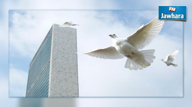 في اليوم العالمي للسلام : الأمم المتحدة تدعو إلى إلقاء السلاح