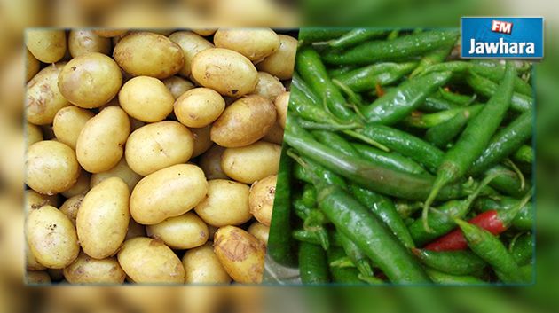 بن عروس : حجز 12 طن من البطاطا غير صالحة للاستهلاك