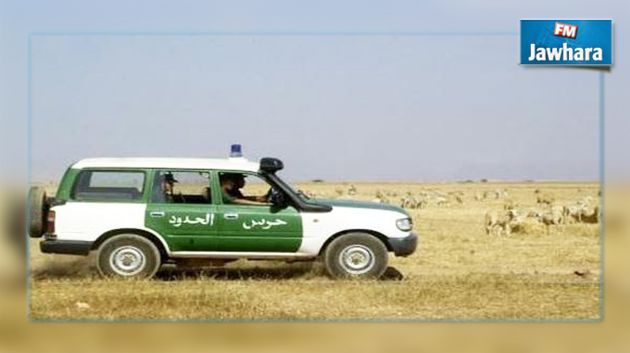 الجزائر : الكشف عن عصابتين لسرقة المواشي وتهريبها نحو تونس