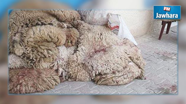 بعد يومين من العيد : تراكم للأوساخ و فضلات الأضاحي فمن المسؤول؟