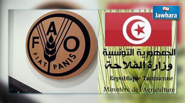 الإمضاء على 3 اتفاقيات مع منظمة الأمم المتحدة للأغذية و الزراعة بقيمة تجاوزت 4 مليون دولار