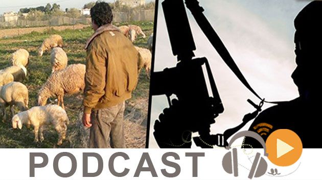  نشرة أخبار السابعة صباحا ليوم الثلاثاء 13 أكتوبر 2015