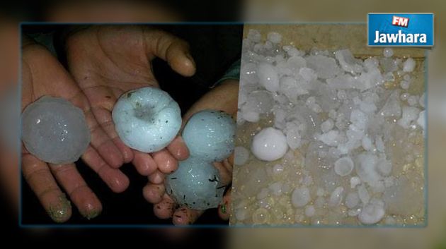 سليانة : نزول البرد يتسبب في أضرار مادية جسيمة
