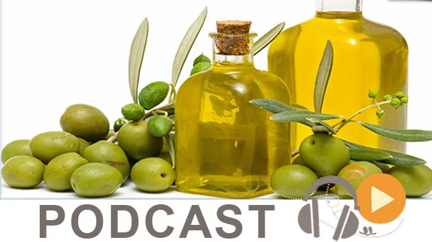 بزنس نيوز ليوم الثلاثاء 10 نوفمبر 2015