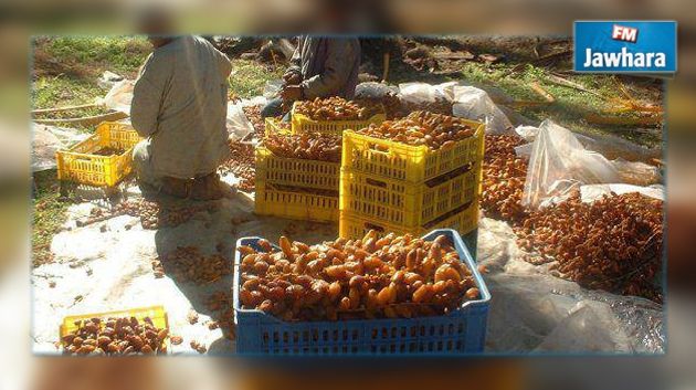 وزارة التجارة تتدخّل لتحديد أسعار التمور