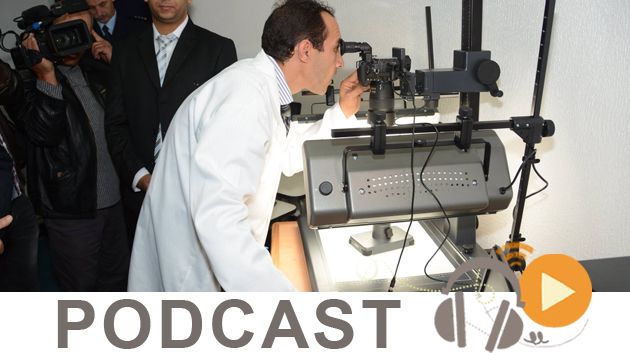 نشرة أخبار السابعة مساء ليوم الثلاثاء 17 نوفمبر 2015