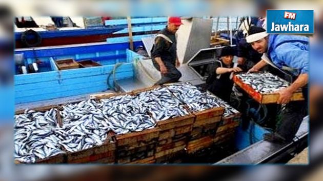 ارتفاع نسبة صادرات منتوجات الصيد البحري