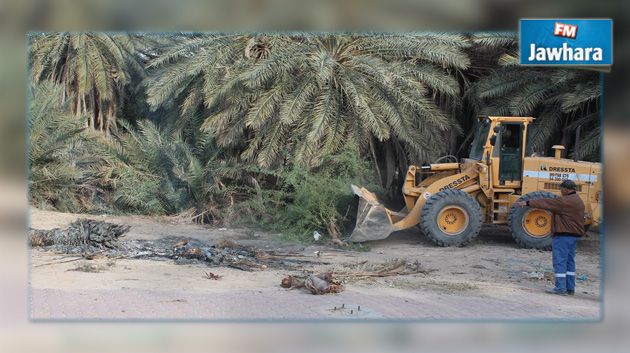 التحوز العشوائي والاستيلاء على أراضي الدولة في توزر : البلدية تهدد بالتتبع العدلي 