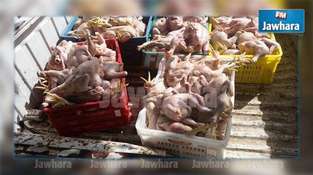 منوبة : حجز 750 كلغ من الدجاج المذبوح الفاسد