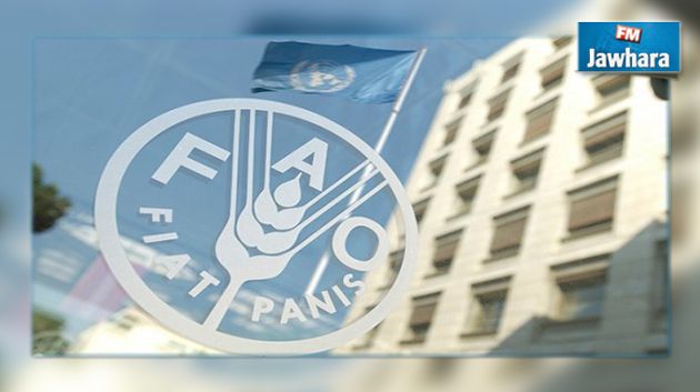 الفاو تمول مشروعا في تونس بقيمة 900 ألف دولار :وهذه الجهات المعنية