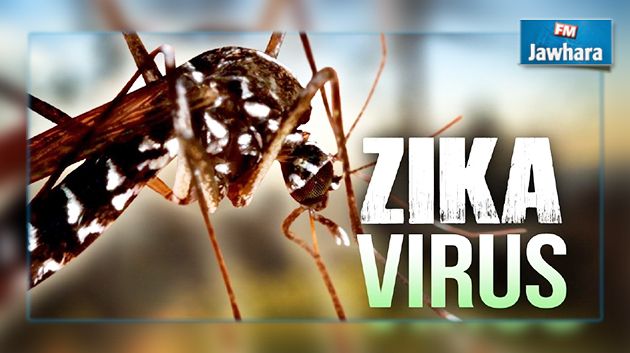 كولومبيا : عدد المصابين بفيروس زيكا يتجاوز 25 ألف 
