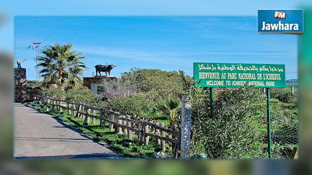 تونس أفضل الدول العربية محافظة على البيئة
