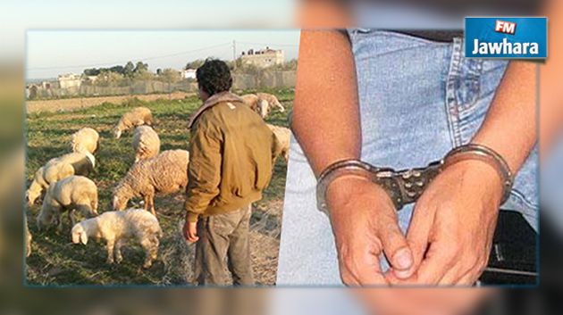 قابس : القبض على قاتلي راعي الأغنام