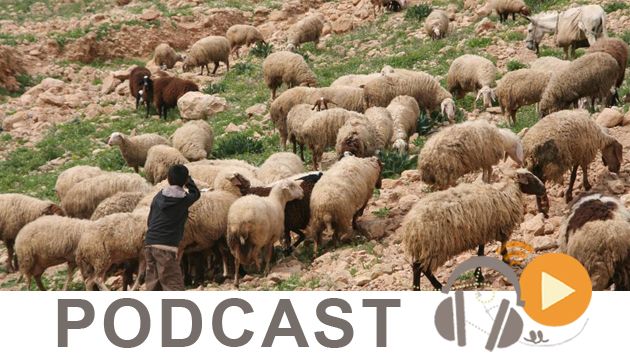     نشرة أخبار منتصف النهار ليوم الأربعاء 17 فيفري 2016